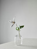 Como vase clear