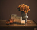 <h2>Lyric<em> a love story</em></h2>